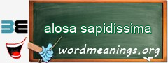 WordMeaning blackboard for alosa sapidissima